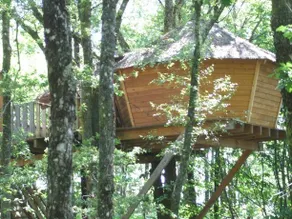 Les Cabanes Silvae - Image 5