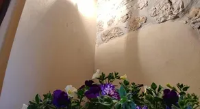 Casa Tato - Image 2