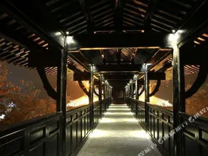 Drunken Root Resort - Image 3
