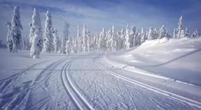 Olosloisto Lomat - Image 2