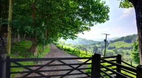 Llwynglas - Image 4