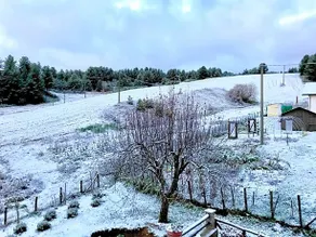 Casale Dell'Arvo - Image 3