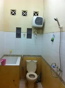 Dolphin House - Image 2
