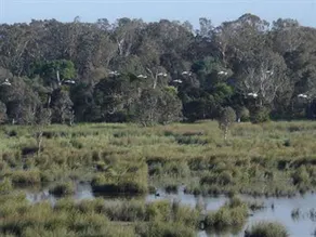 Frog Gully Cottages - Image 3
