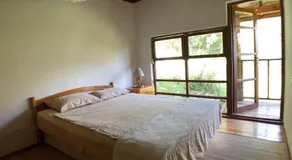Jungle House - Image 3