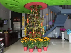 Star Hotel - Image 4
