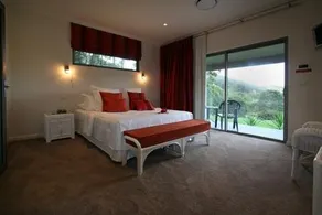 Terrigal Hinterland - Image 2