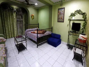 The Hotel Pravasi Palace - Image 5
