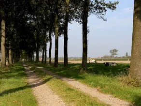 Roodhof - Image 4
