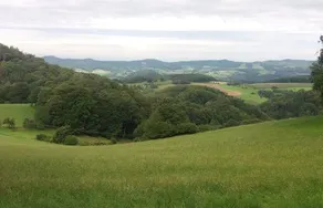 Landgasthof und Pension Zur Schönen Aussicht - Image 3