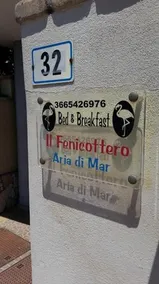 Il Fenicottero - Image 2