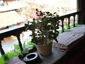 Lijiang Pingshuixiangfeng Inn - Image 3
