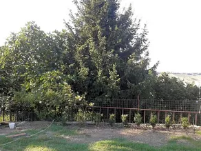 Bed and Breakfast San Nicola - Image 3