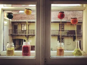 Home Made House - Image 5