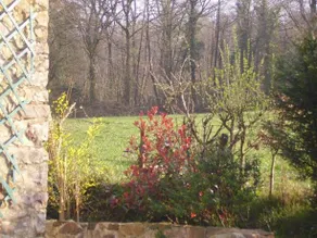 Les Landes - Image 3