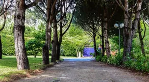 Quinta da Mafalda - Image 5