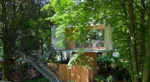 Urban Tree House - Image 5