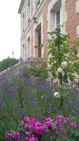 Chambre d'hôtes Fleur de Senon - Image 3