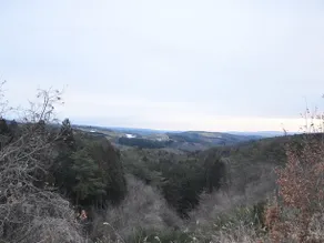 Tategamori Kogen Hotel - Image 5