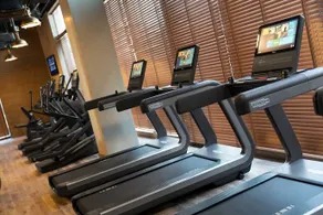 Renaissance Downtown Hotel  Dubai - Image 5
