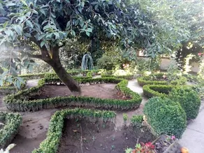 Estrebuela House - Image 4