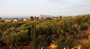 Selene Stone Villa - Image 5