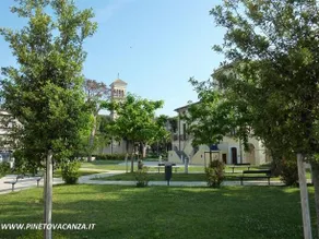 Ficus Pineto Vacanza - Image 4