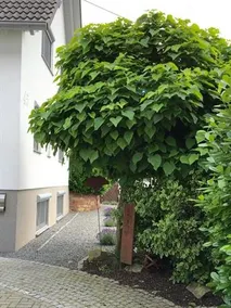 Ferienwohnung Fam. Bodnik - Image 2