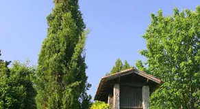 Casa Da Eira De Moledo - Image 2