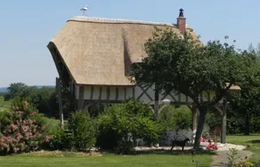 LES CIGOGNES - Image 4