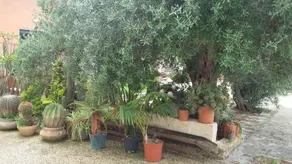 B&B Le Stanze Del Sale - Image 5