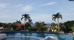Royal Palm Resort Curacao - Image 3