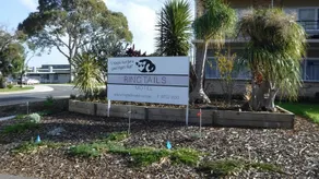 Ringtails Motel - Image 2