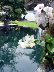 White Dragon Sea View Villa - Image 5