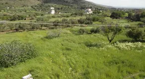 House in the grass land. - Image 5