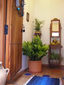 PRAO VINAGRE - Image 3