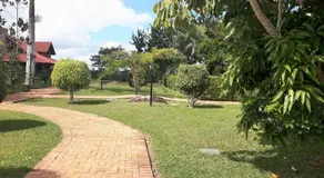 Prive Baraúnas - Image 2