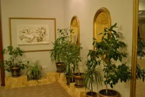 Armir Palace - Image 3