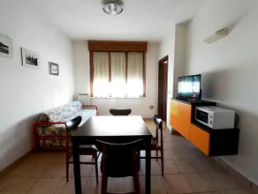 Holiday - Image 4