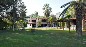 Seafront palm villa - Image 2