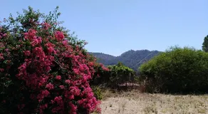 CHALET MONTPRATS, SERRA - Image 5