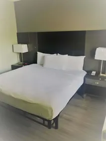 SureStay Hotel by Best Western Conway - Image 5
