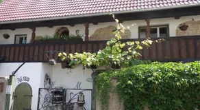 Rodinné vinařství Mikulenkovi - Image 4