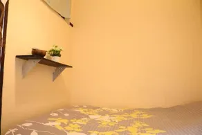 Eco House - Image 5
