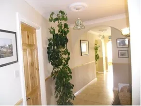 ST ANTHONY'S B&B - Image 2