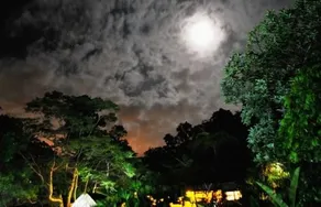 PlayaSelva Lodge - Image 5