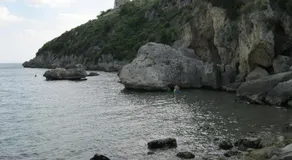"Il nespolo" - Image 2