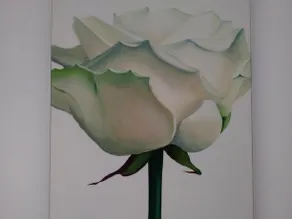 Ricken House WHG La Rose - Image 4