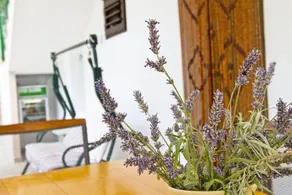 Holiday Home Olivari - Image 5