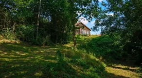 Beautiful 8 bedroom villa in the heart of a stunning forest - Image 3